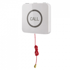 Кнопка вызова iBells 310S влагозащищенная со шнуром для МГН в Краснодаре